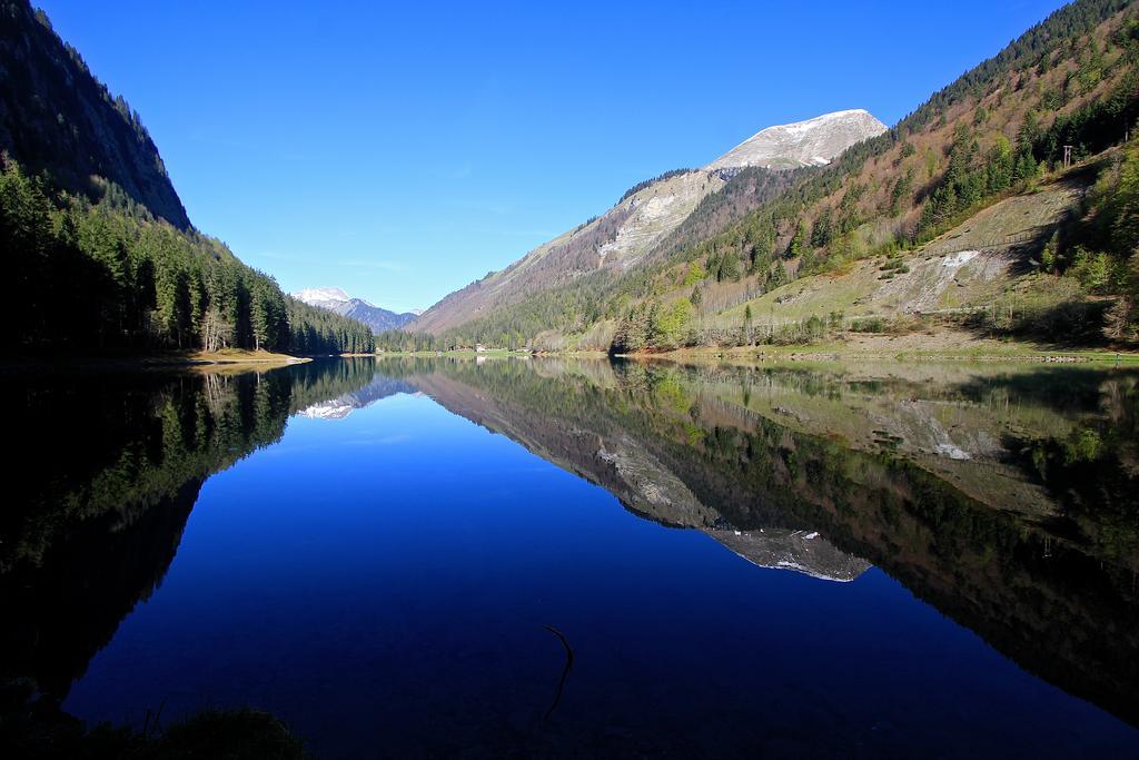 Chalet Genepi Montriond Eksteriør bilde